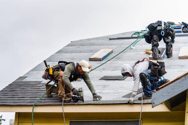 Professional Gutter Installation technician working in Peculiar, MO